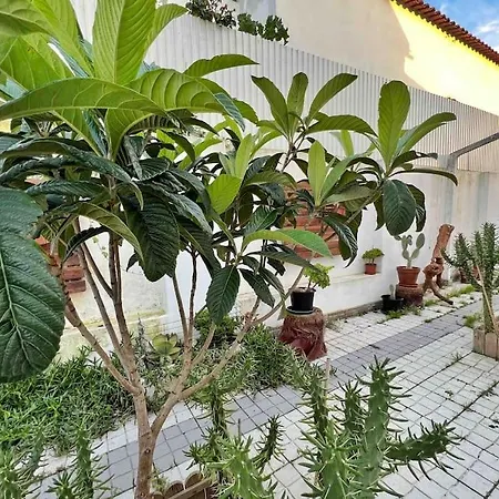 Toca Do Lobo House Peaceful Into The Nature